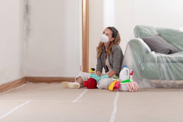 Reliable Mold Remediation contractor in Chanhassen, MN by WQB Mold Removal